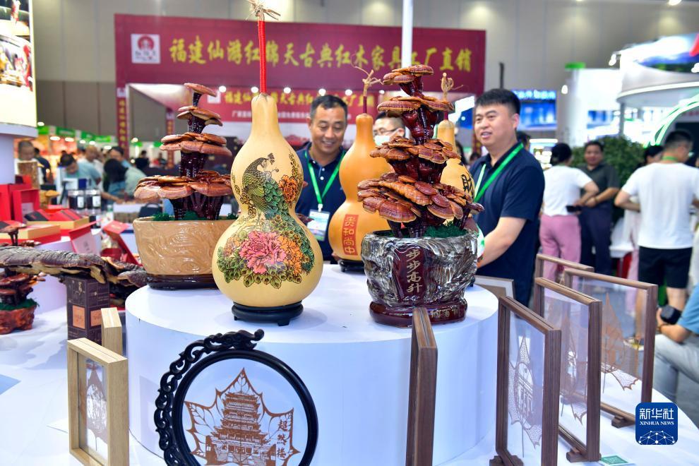 官网网址论坛